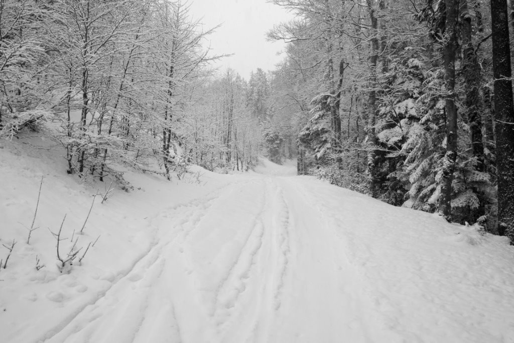 piste de la balme