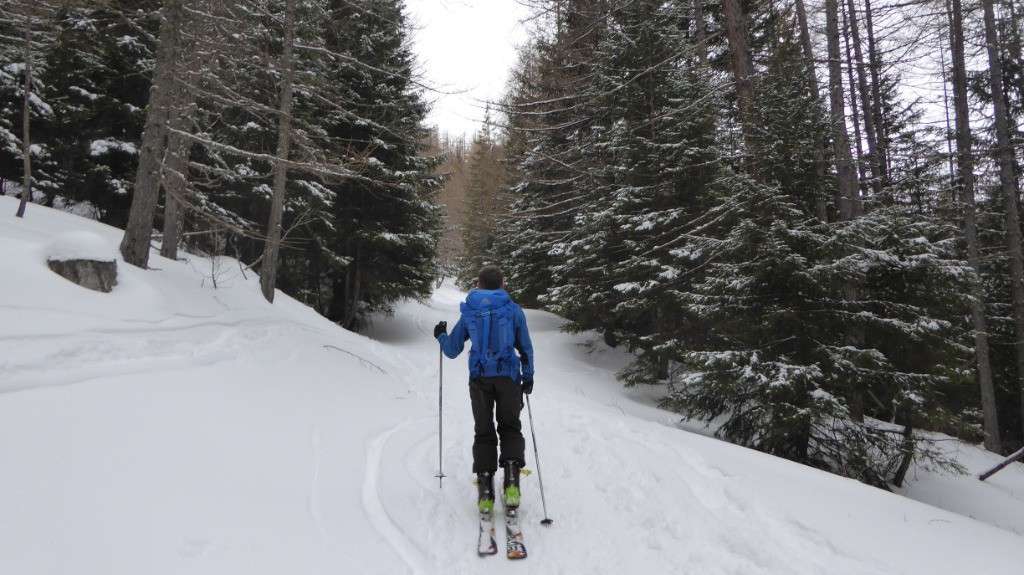 Joli passage en forêt