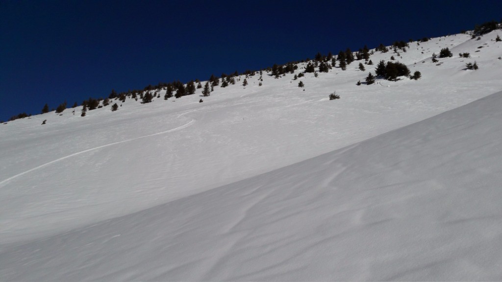 #18 Face W tête des muets très bon aussi Face W tête des muets très bon aussi