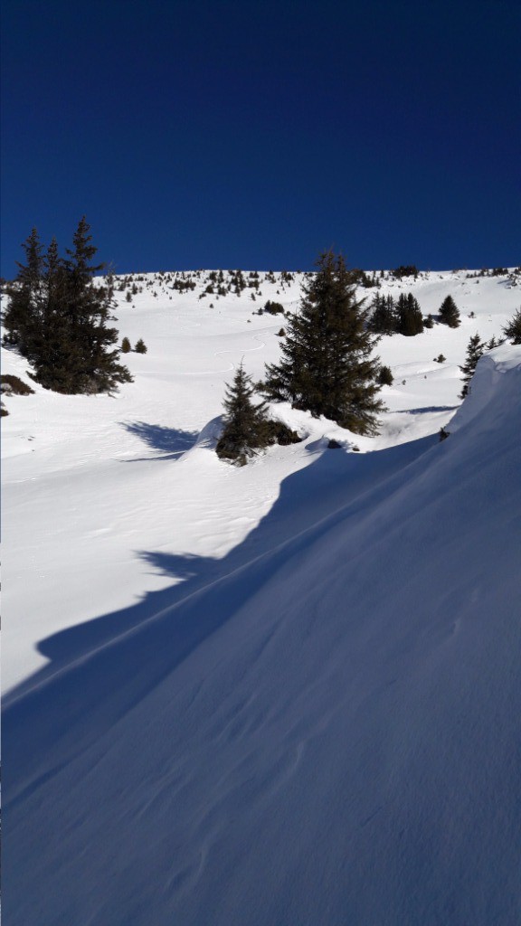 #19 Face W tête des muets Face W tête des muets