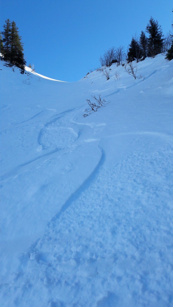 #22 Couloir de BRION : en N encore de la poudre Couloir de BRION : en N encore de la poudre
