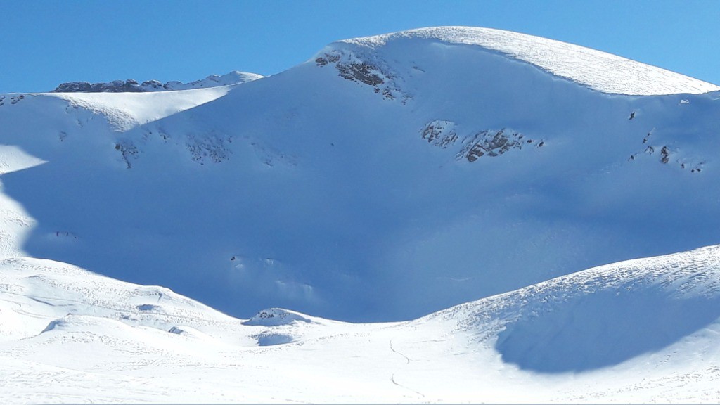 #16 Face N champs fleuri très bon alternance poudre et neige tassée Face N champs fleuri très bon alternance poudre et neige tassée