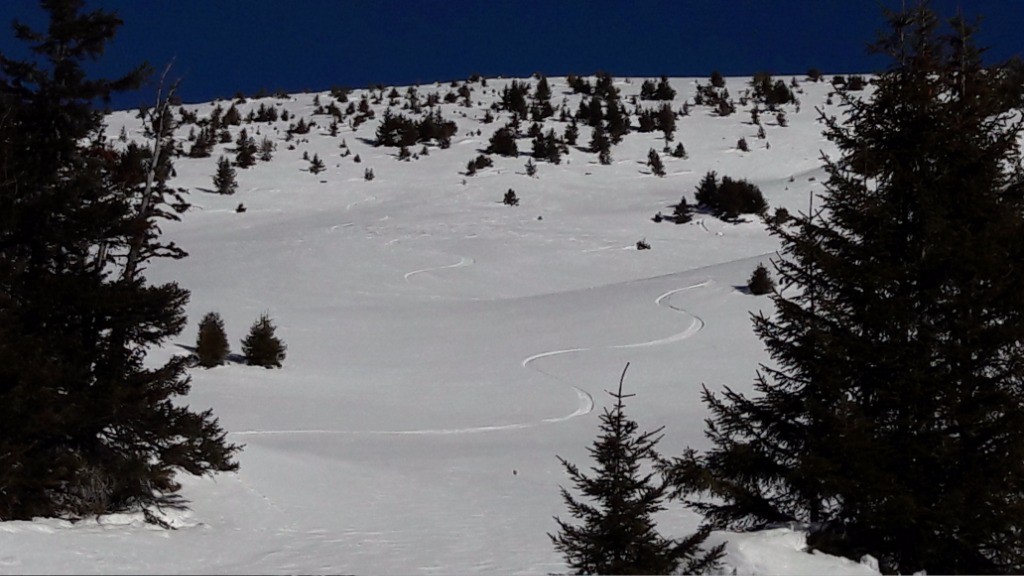 #20 Face W tête des muets très bon et pour moi tout seul Face W tête des muets très bon et pour moi tout seul