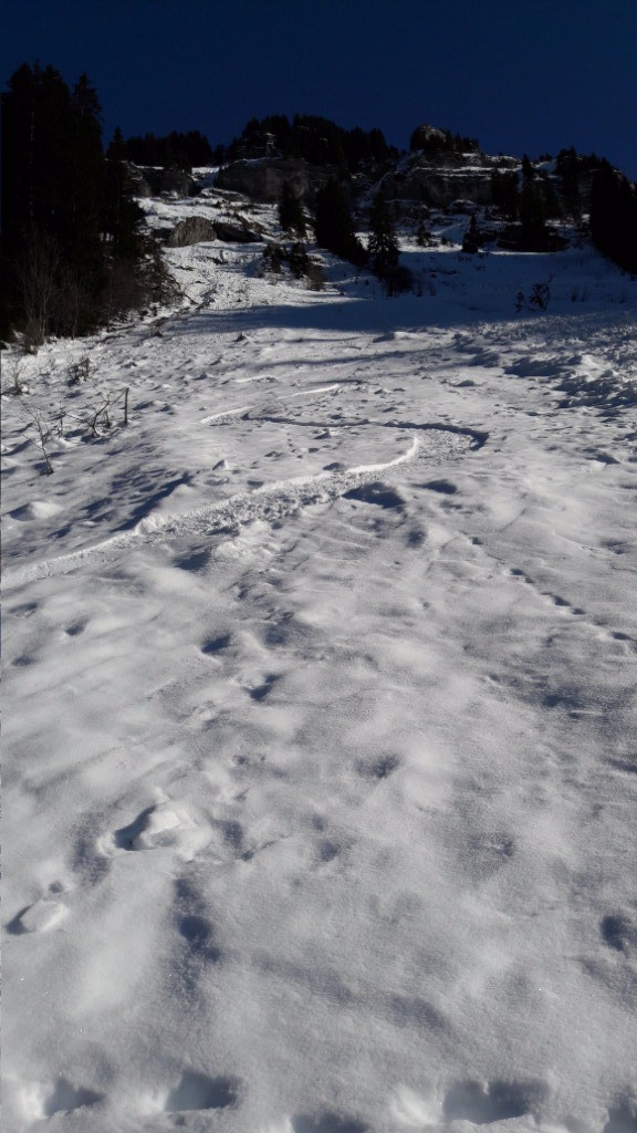 #23 Bas du couloir de BRION : neige bien revenue Bas du couloir de BRION : neige bien revenue