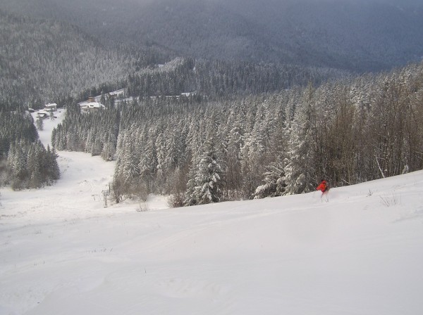 #4 sur la piste : Le bas est excellent aussi et y sur la piste : Le bas est excellent aussi et y'a du soleil !