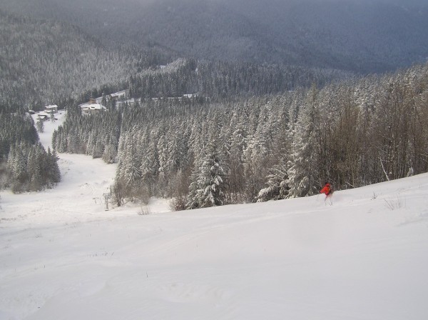 sur la piste : Le bas est excellent aussi et y'a du soleil !