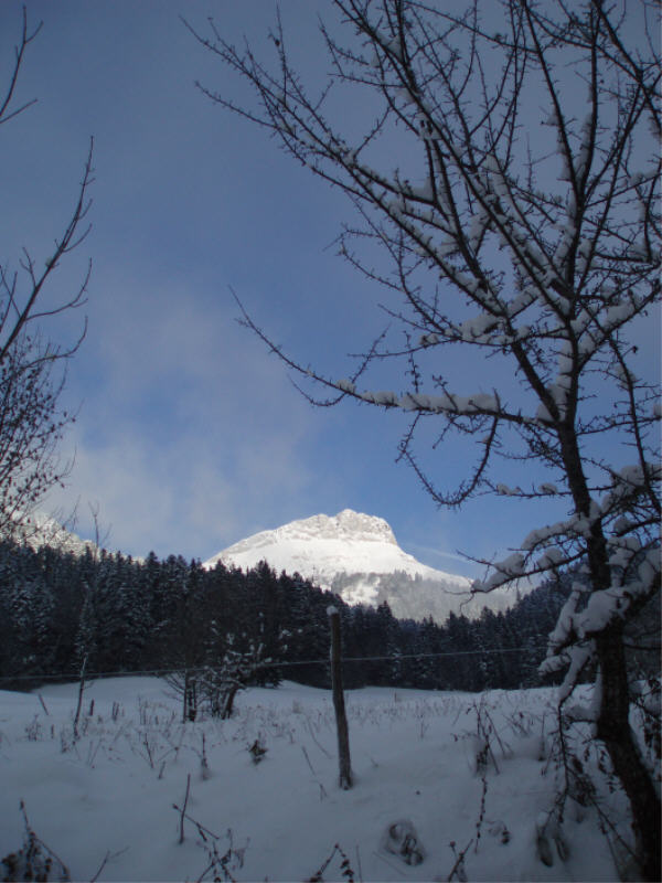 #1 colombier d colombier d'aillons : Objectif en vue, la journée s'annonce bien