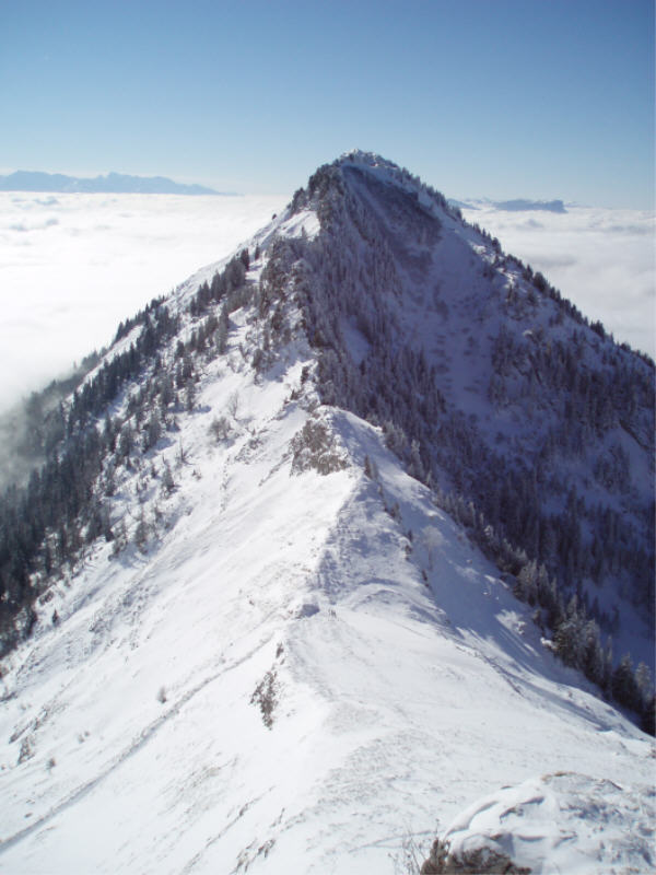 #4 Bade : Le couloir N de la Bade n Bade : Le couloir N de la Bade n'est pas encore bien remplit