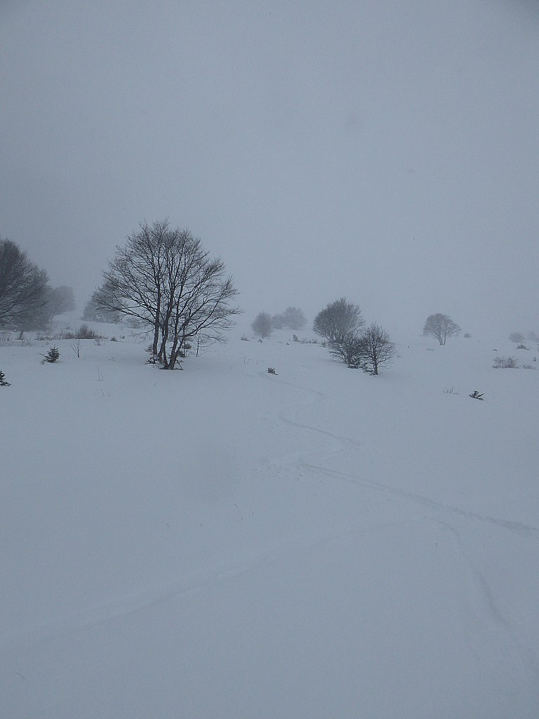 #8 Du bon ski Du bon ski