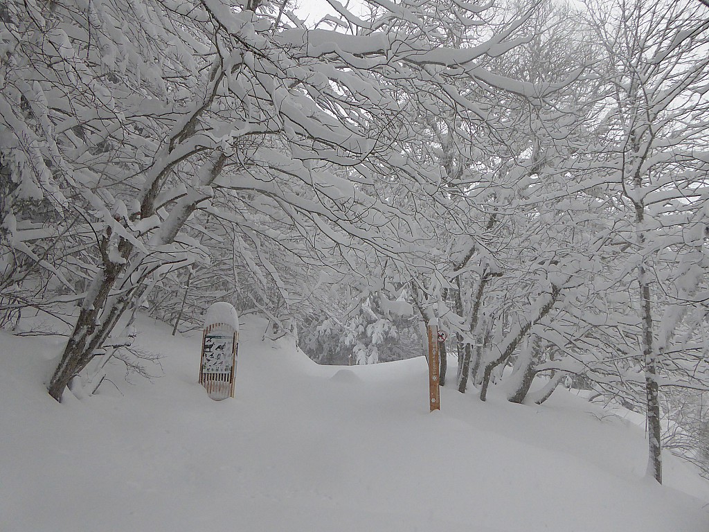 #5 Départ du sentier Départ du sentier