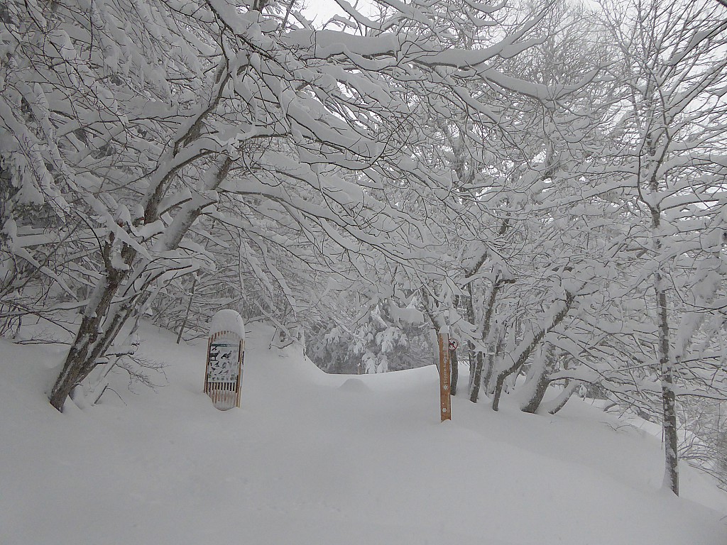 Départ du sentier