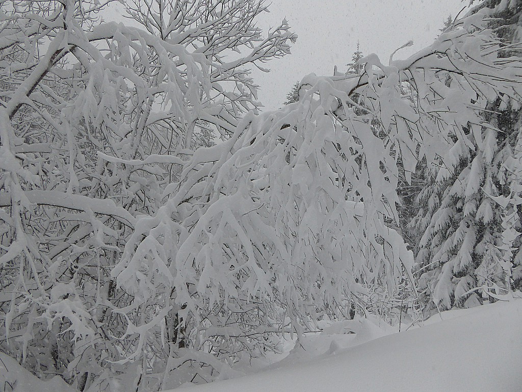 Beaucoup de neige lourde