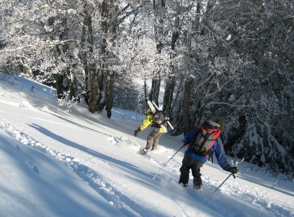 #10 Pravouta SE 2 : Peu intéressante comme photo, mais juste pour montrer la neige dans cette pente. Pravouta SE 2 : Peu intéressante comme photo, mais juste pour montrer la neige dans cette pente.