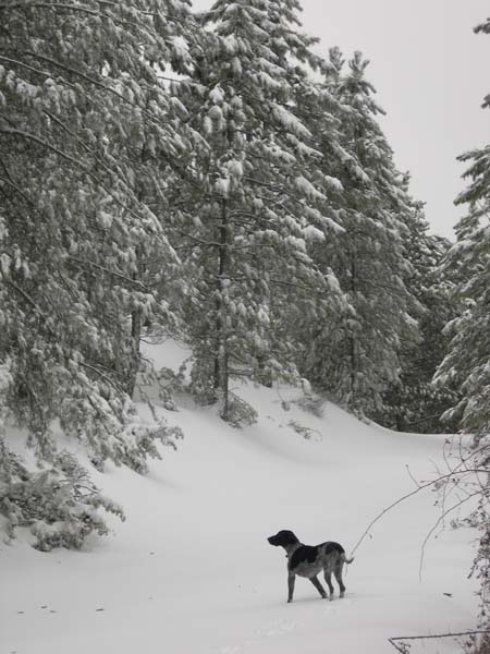 #1 Au départ : La piste très bien enneigée dès le départ Au départ : La piste très bien enneigée dès le départ