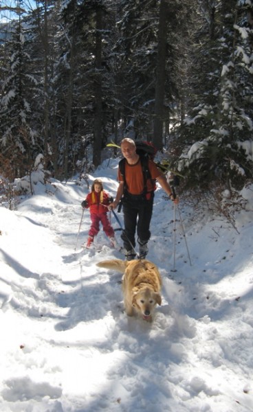 #1 La plus jeune skitourienne : Ramsès,le golden,tire sa petite maitresse au col de la cochette. La plus jeune skitourienne : Ramsès,le golden,tire sa petite maitresse au col de la cochette.