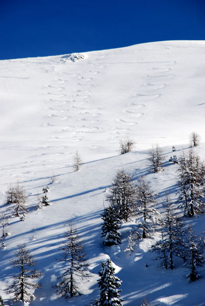 #3 Tête mercière : La descente de tête mercière avec de gauche à droite : Le padre, le fiston, la madre...une sortie familliale. Tête mercière : La descente de tête mercière avec de gauche à droite : Le padre, le fiston, la madre...une sortie familliale.