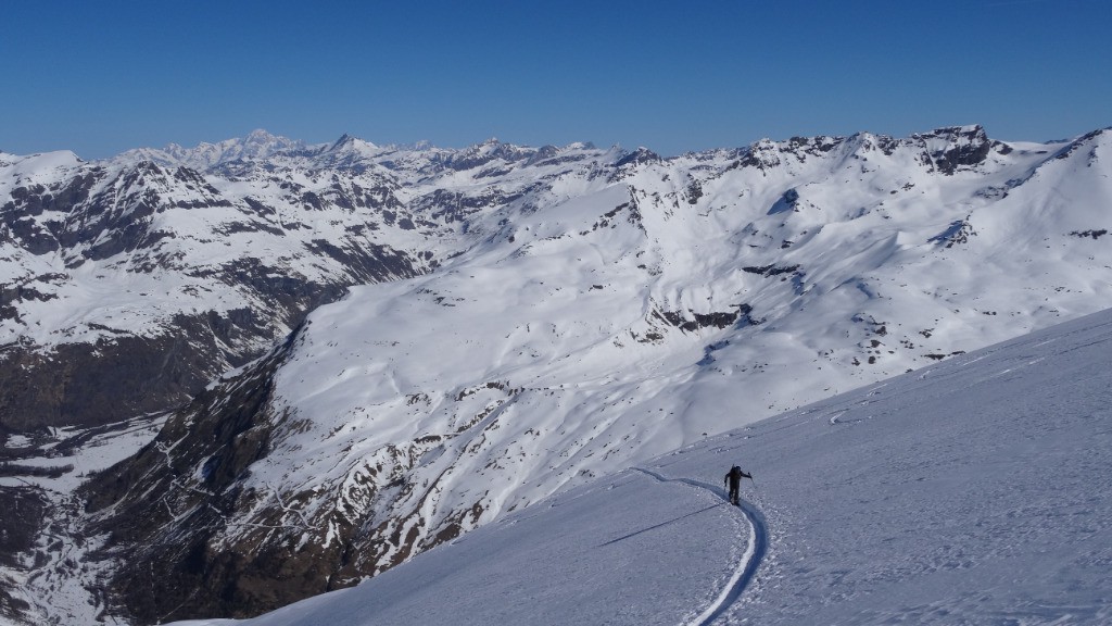 #11 jolie trace jolie trace