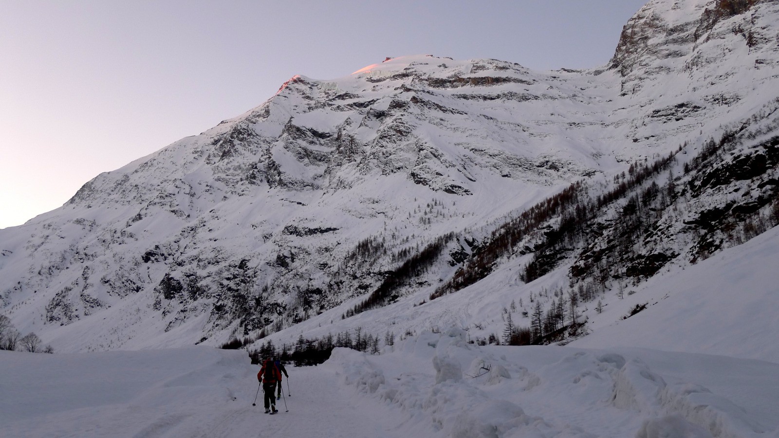 #8 Petit matin devant la bête Petit matin devant la bête