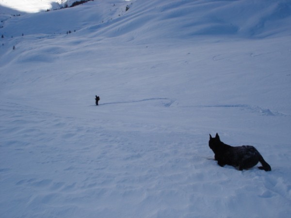 #1 max de neige : ça brasse et mon toutou (qje suis pas pret de ramener là o) en bave !! max de neige : ça brasse et mon toutou (qje suis pas pret de ramener là o) en bave !!