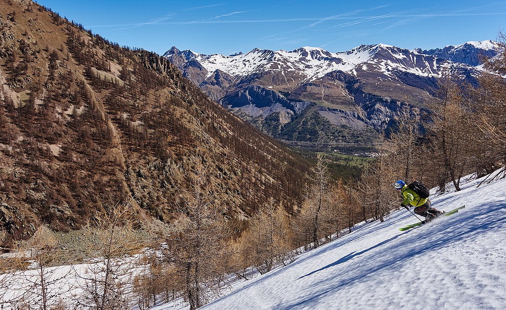 #26 Saveurs mélèzines... Saveurs mélèzines...