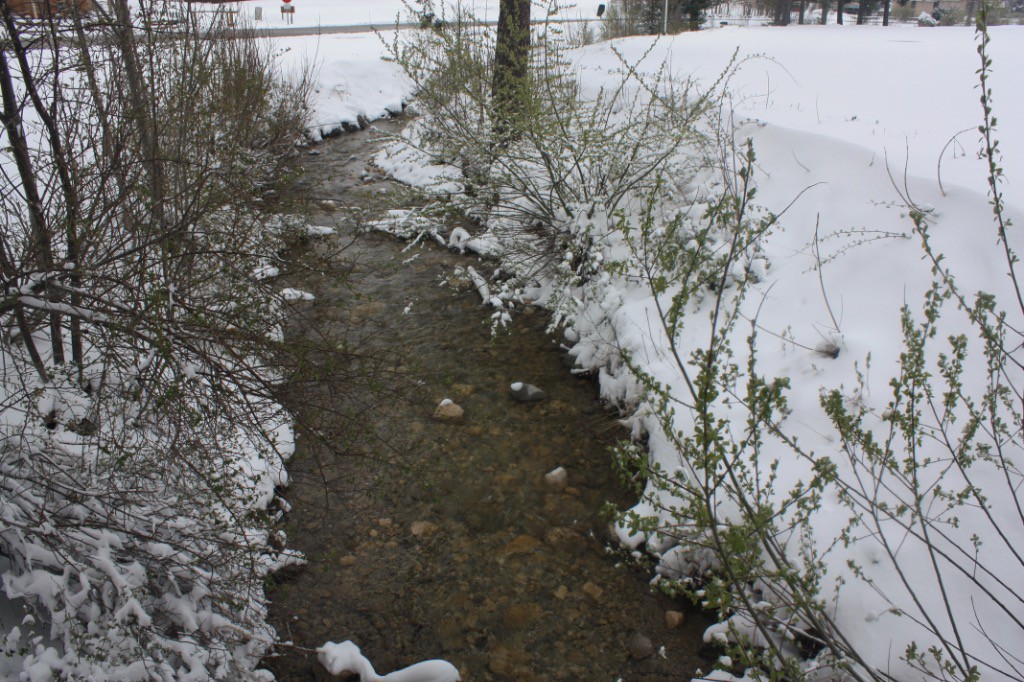 #8 Contrasts ruisseau Gresse en Vercors Contrasts ruisseau Gresse en Vercors