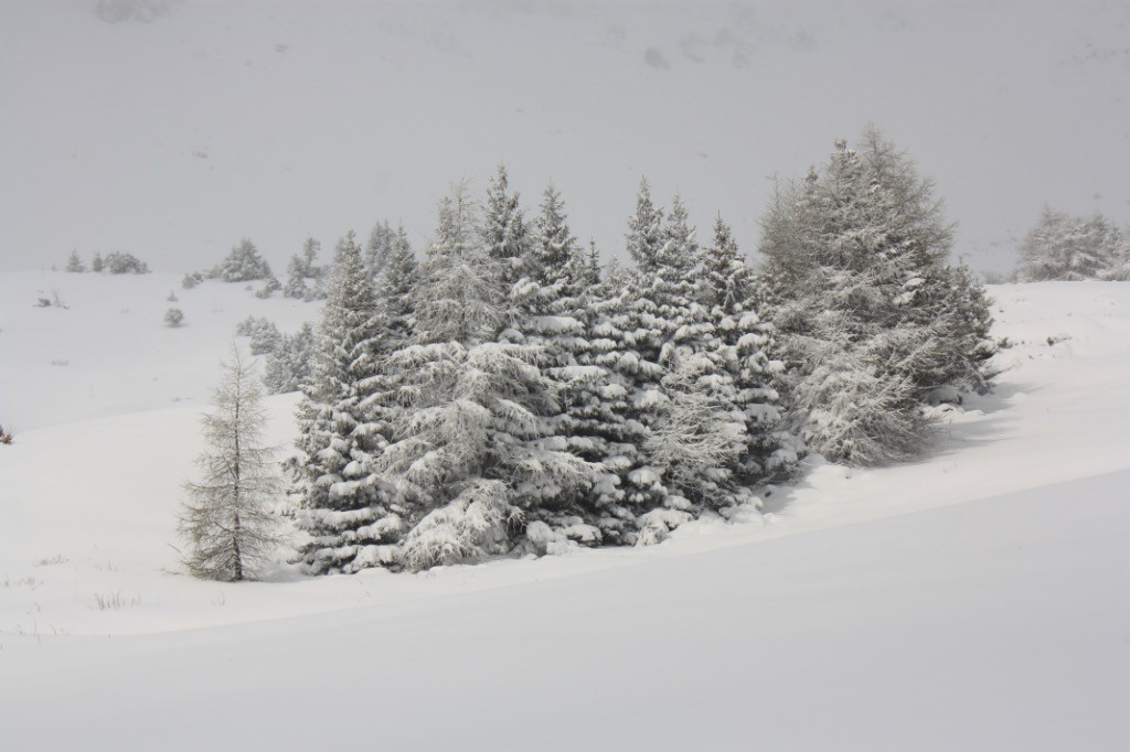 #3 C C'est l'hiver ?!