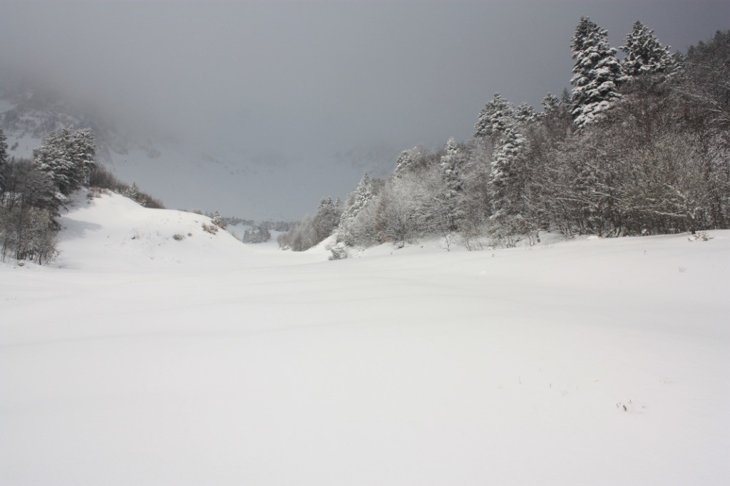 #2 Quelques rayons de soleil sur ce champ vierge Quelques rayons de soleil sur ce champ vierge