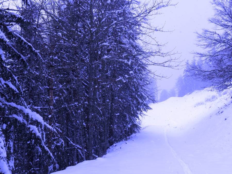 Quelques chutes de neige, ambiance de fêtes de fin d'année 