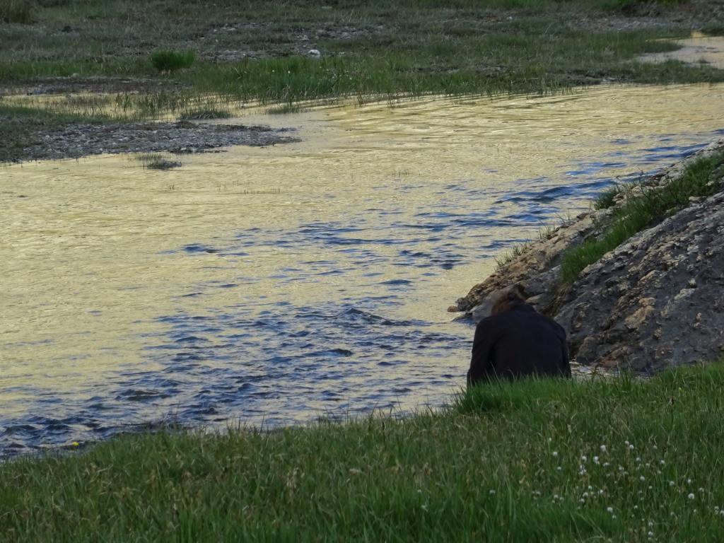 #3 Rivière Rivière