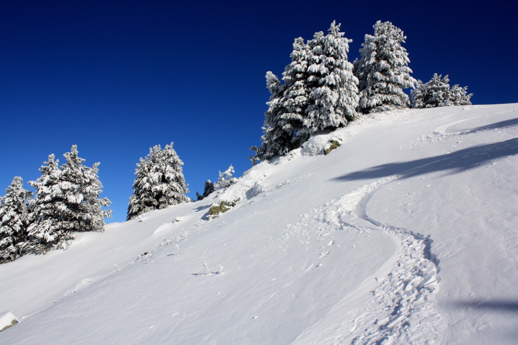 Je rajoute quelques photos : ici dans la Niverolle 