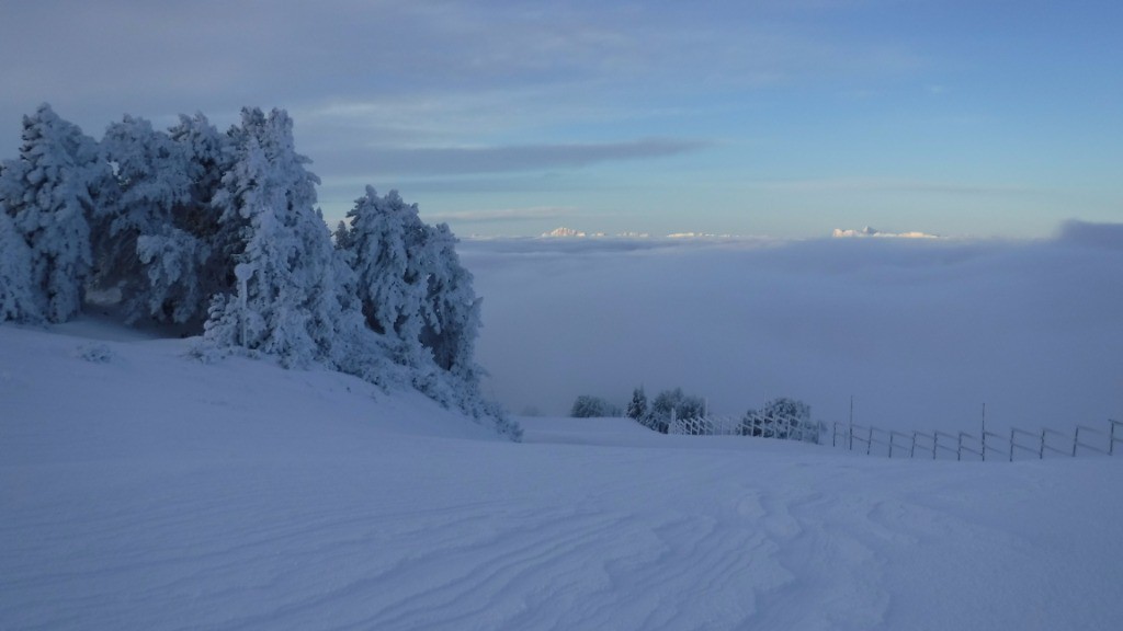 #1 vers 2000 m vers 2000 m