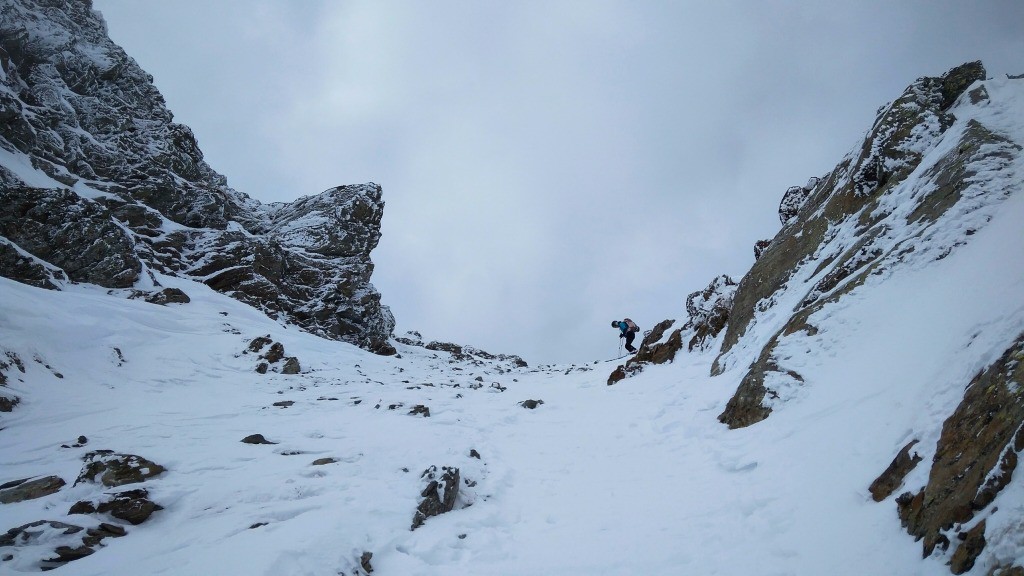 #13 Descente Descente