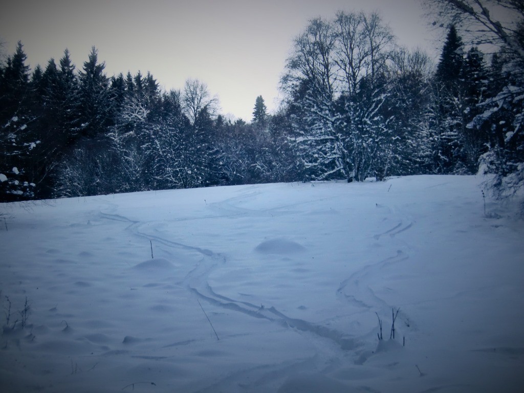 #3 Poudreuse agréable à skier! Poudreuse agréable à skier!