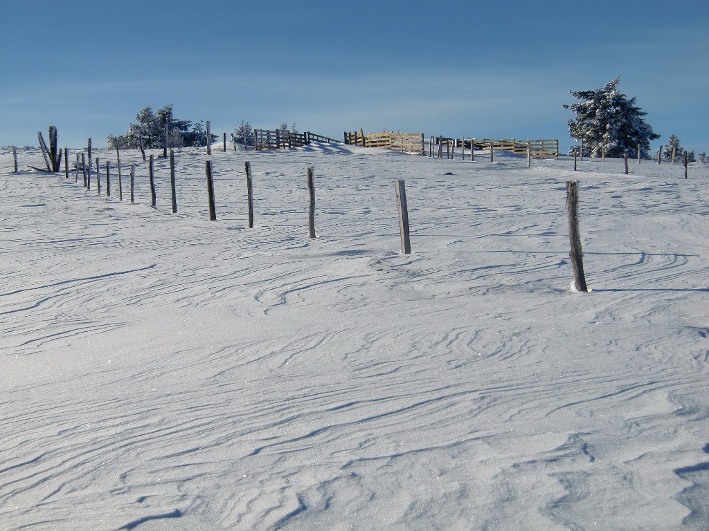 #1 Sommet en vue! Sommet en vue!