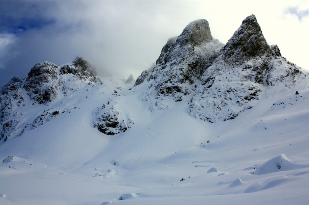 #1 Le Sorbier Le Sorbier