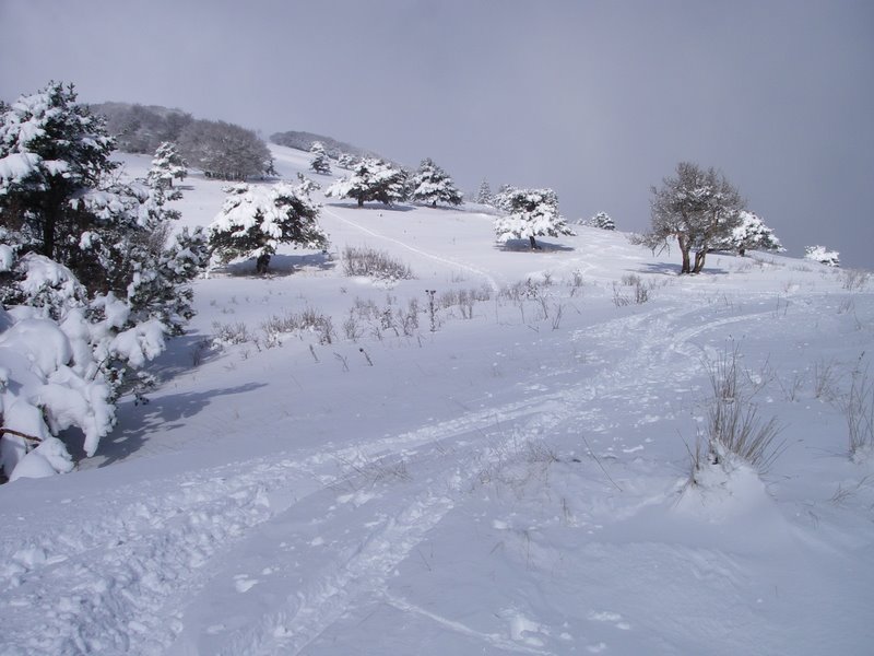 #2 La Peyrouse : Ambiance hivernale La Peyrouse : Ambiance hivernale