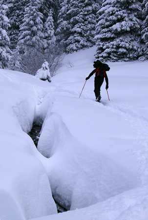 casserousse : Yannick dans les bois