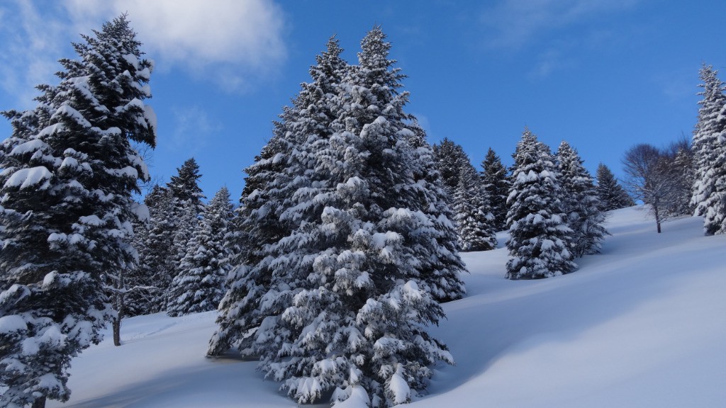 #10 Chartreuse magique Chartreuse magique