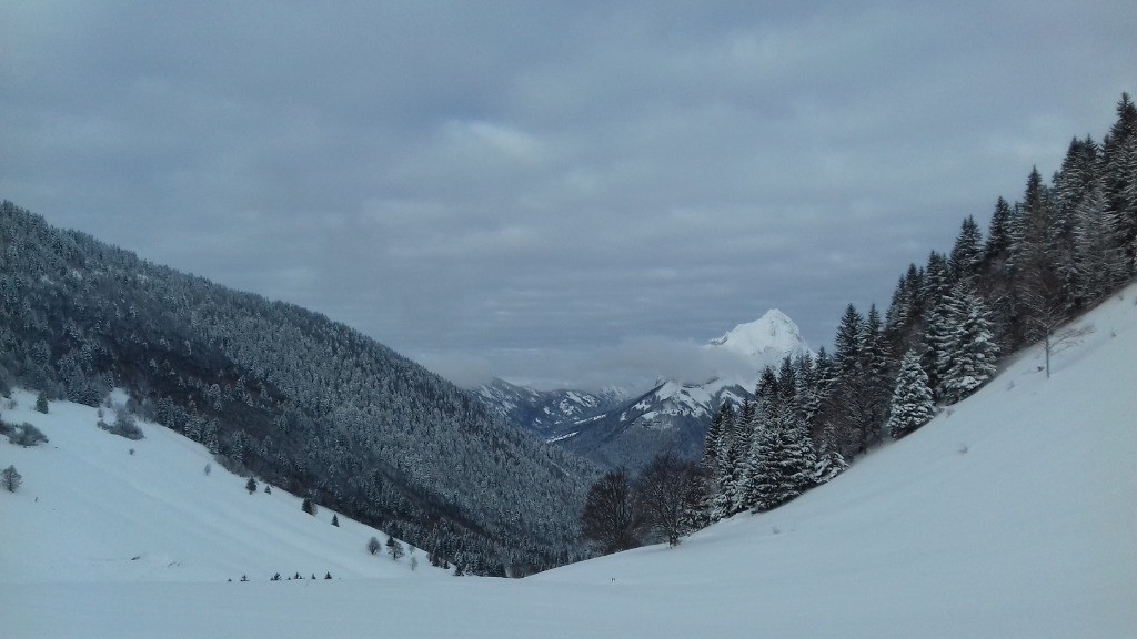 #7 descente sur  descente sur