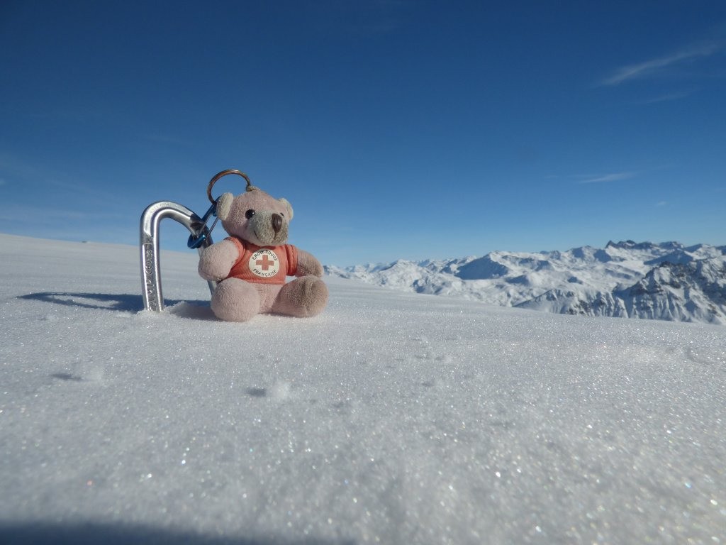 #9 L L'Ours a retrouvé son territoire :)