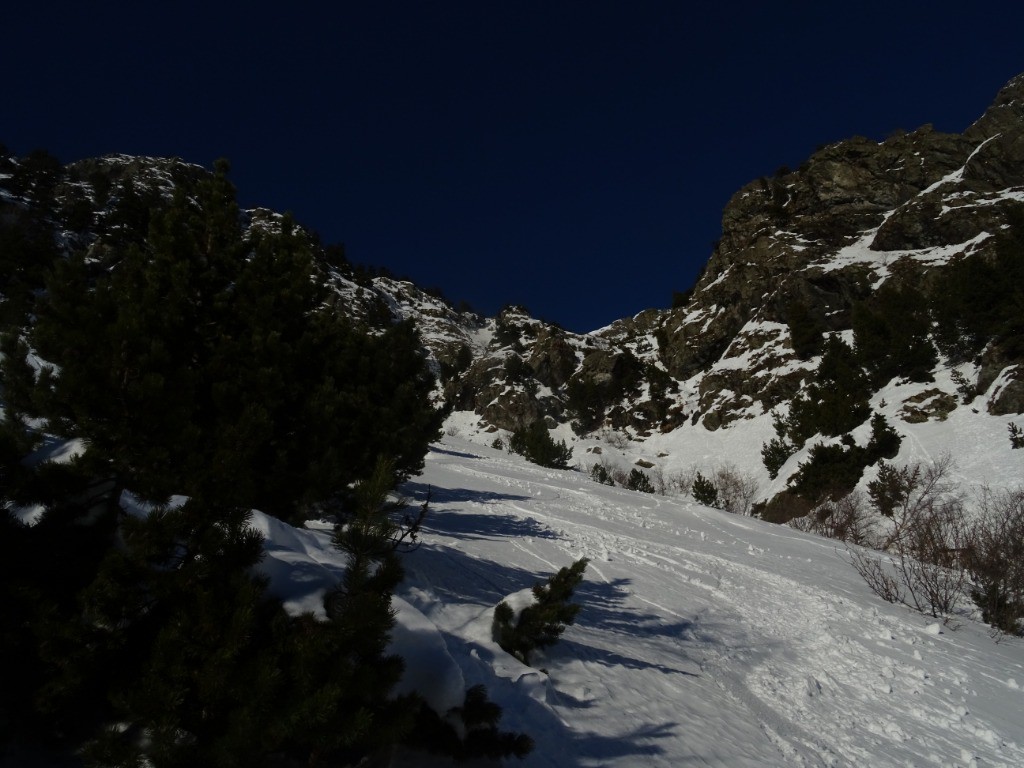 #10 Powder ! Powder !