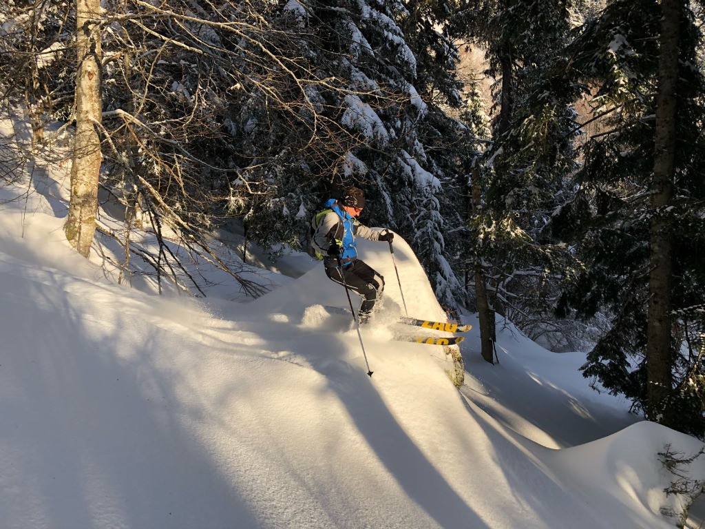 #3 Forêt ludique Forêt ludique