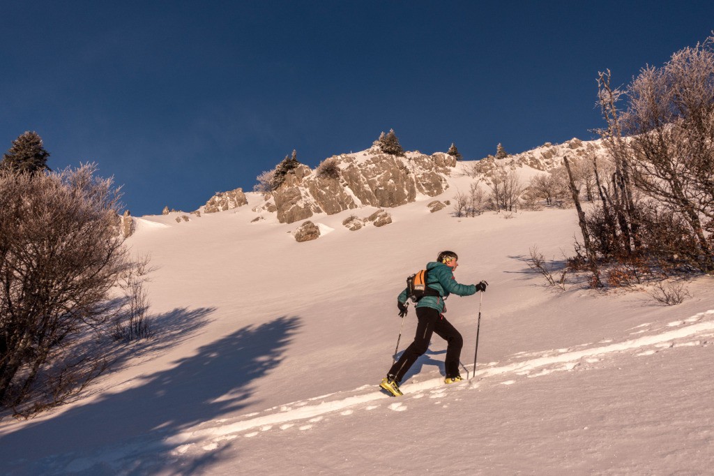 #6 Sortie de la prairie Sortie de la prairie