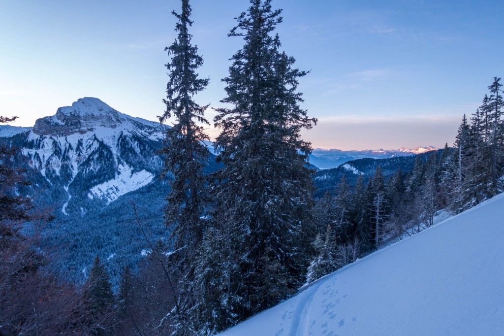 #5 La reine de chartreuse La reine de chartreuse