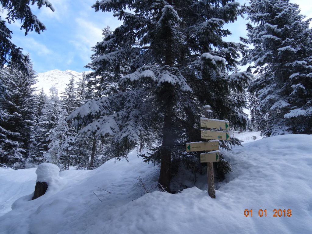 #1 chemin du Lac d chemin du Lac d'Armancette