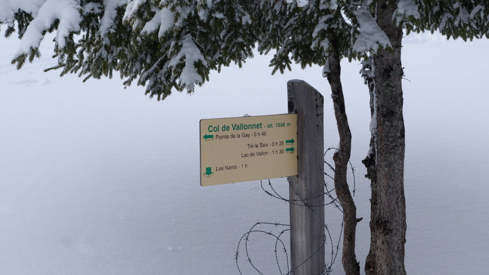 Arrivée au Col du Vallonnet