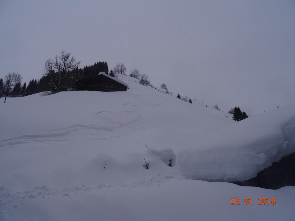 #5 en bas, là ou il y a de nombreuses reptations en bas, là ou il y a de nombreuses reptations