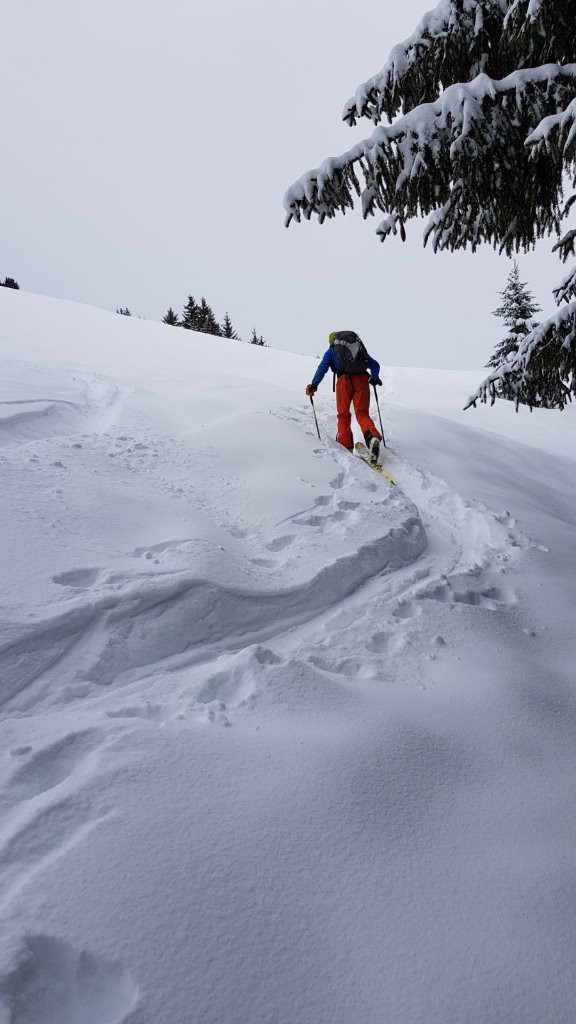 #4 sortie de la foret sortie de la foret