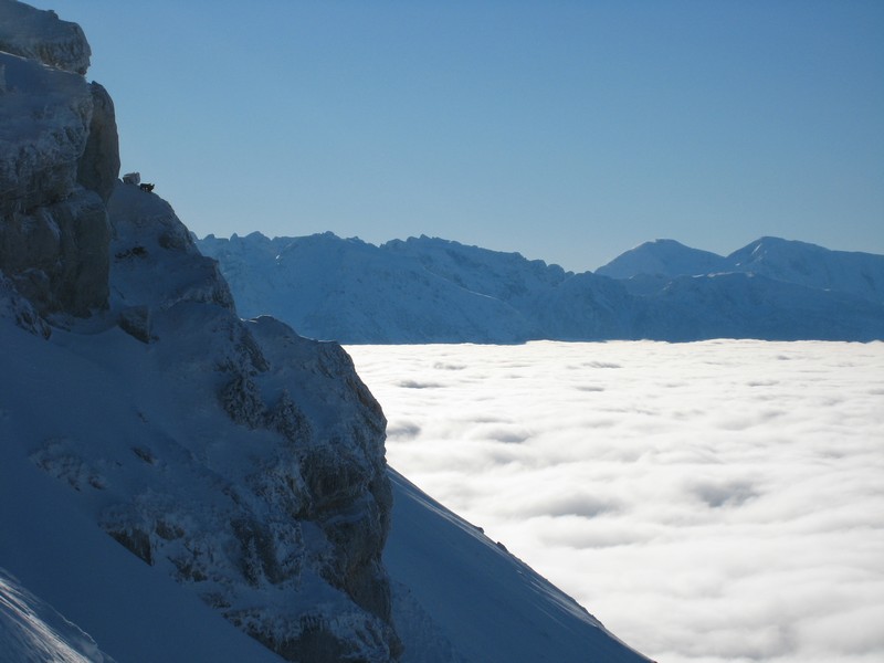 #3 Dent de Crolles : en cherchant bien, on voit 3 chamois. une biere au premier qui trouve ! Dent de Crolles : en cherchant bien, on voit 3 chamois. une biere au premier qui trouve !