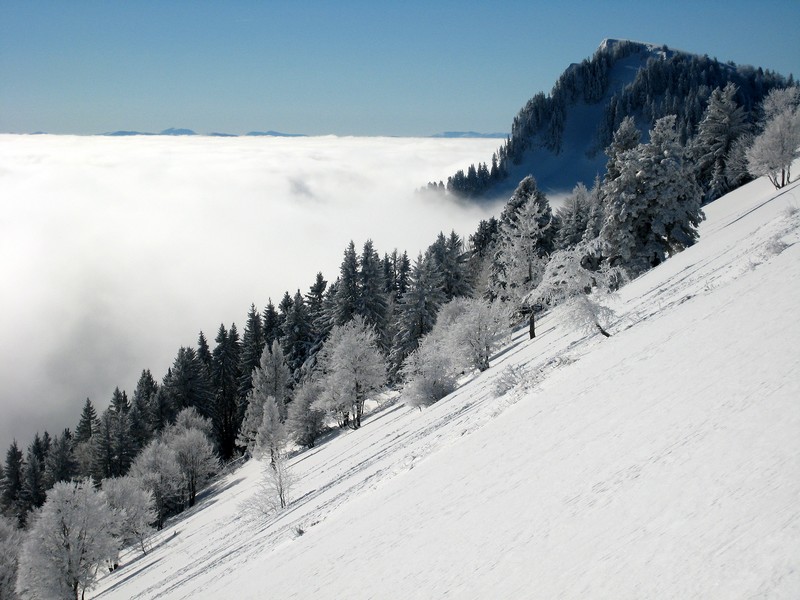 #5 Pravouta : La Chartreuse a revetu son blanc manteau Pravouta : La Chartreuse a revetu son blanc manteau